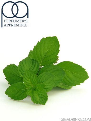 Peppermint - аромат за никотинова течност The Perfumers Apprentice 10мл