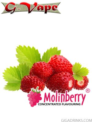 Wild Strawberry 10ml - Concentrated flavor for e-liquids by G-Vape
